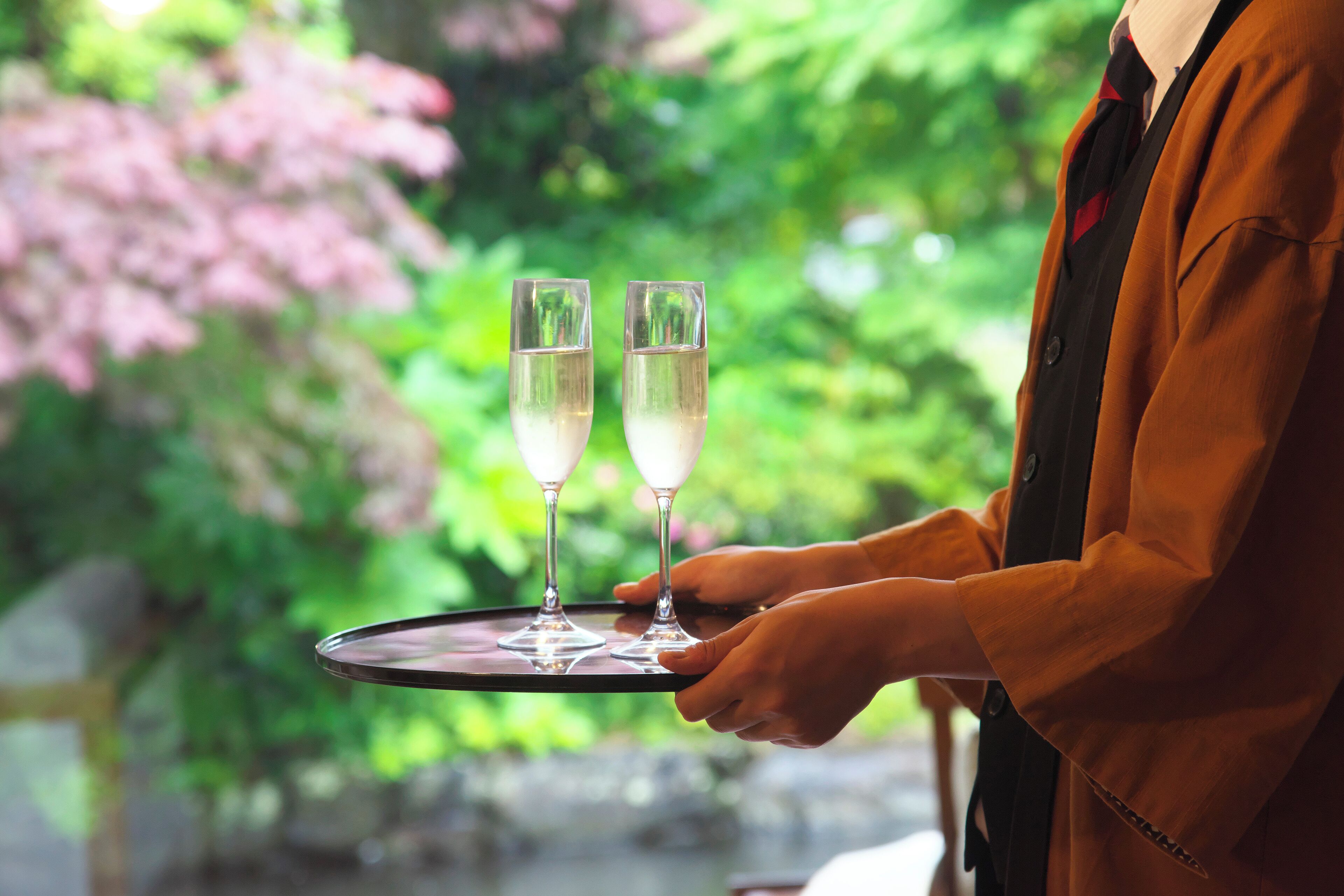 A person holding a tray with two glasses of champagne.