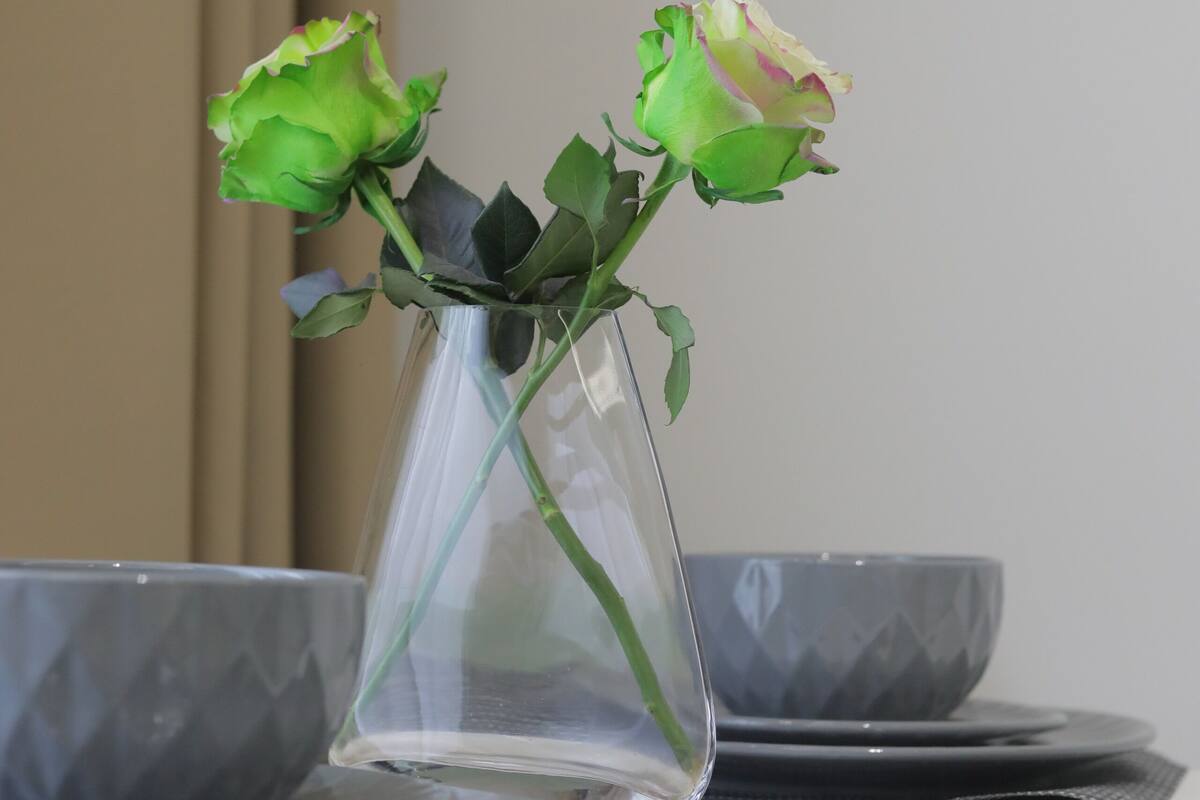 A table with a clear glass vase containing two green roses, a set of cutlery, and a dark-colored placemat.