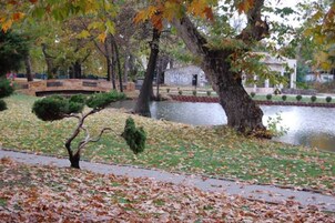 Lake
