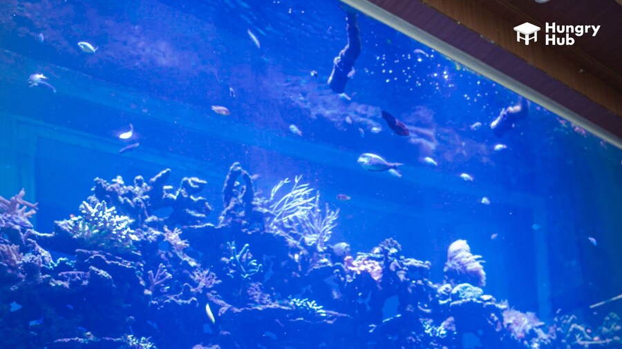 V20boutique Jacuzzi Hotel