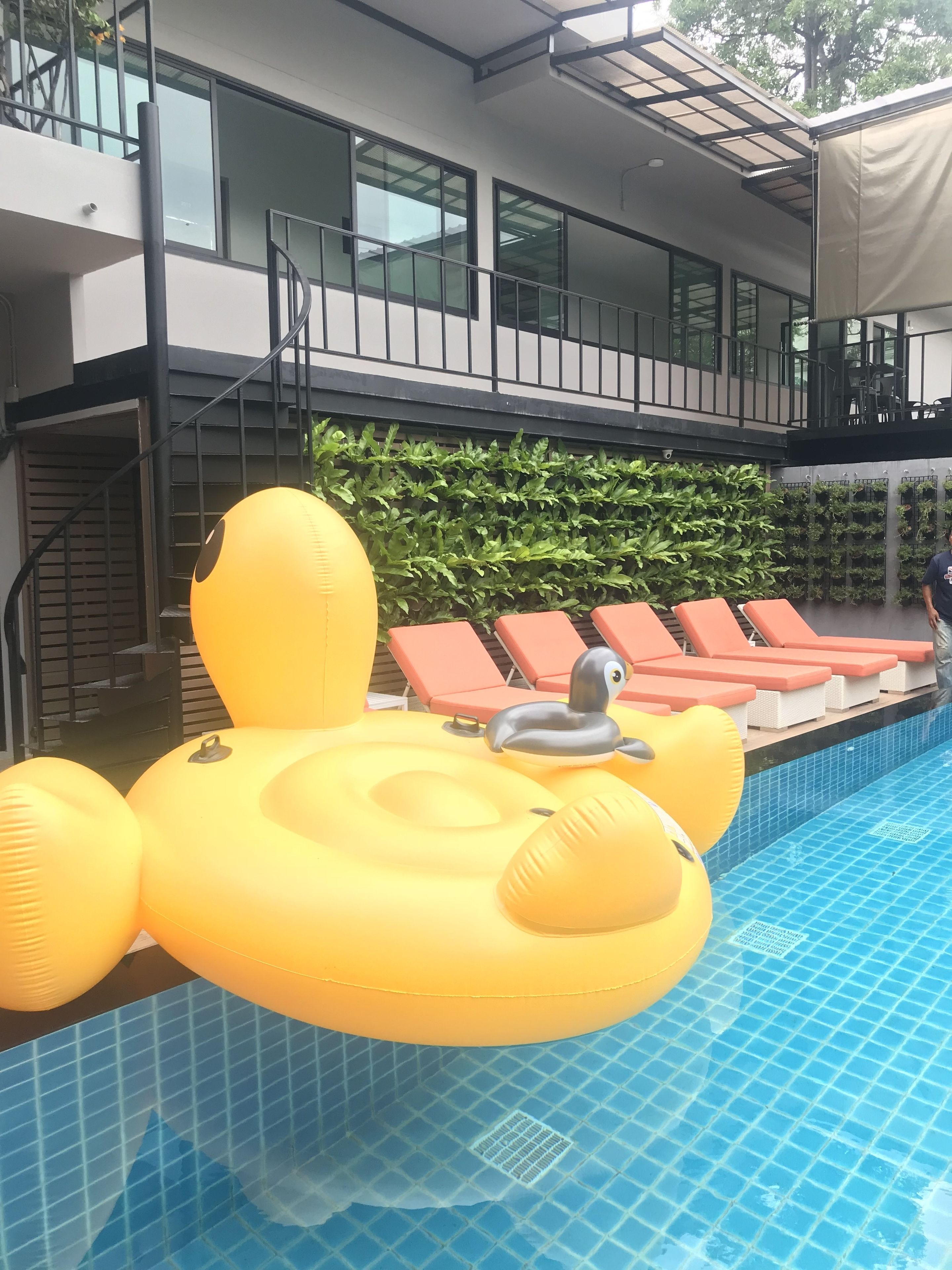 Outdoor pool, pool loungers