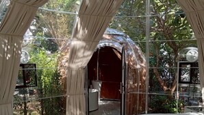A room with a glass ceiling, a bed, and a view of the outdoors.