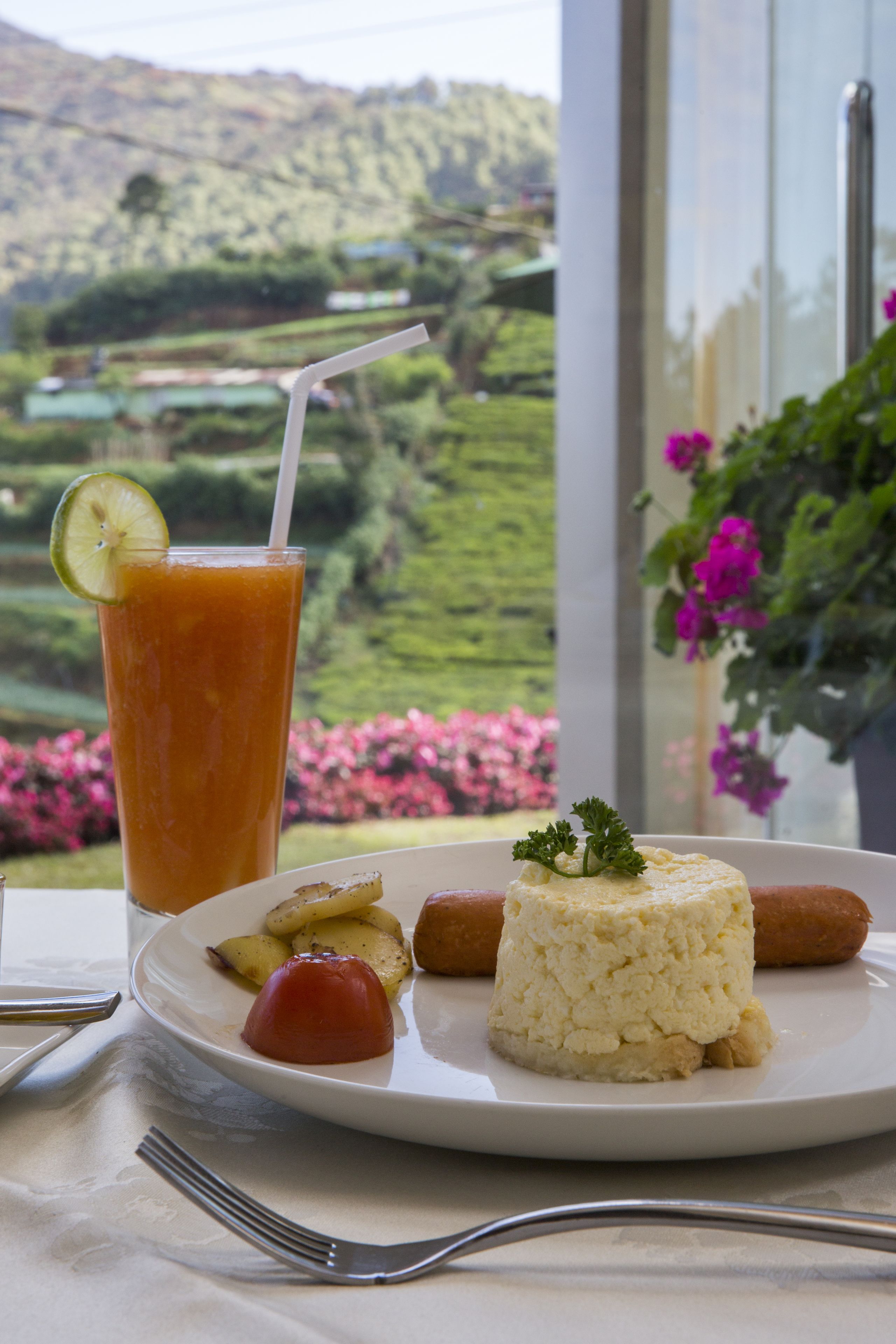 A meal with a drink and a view of a green landscape.