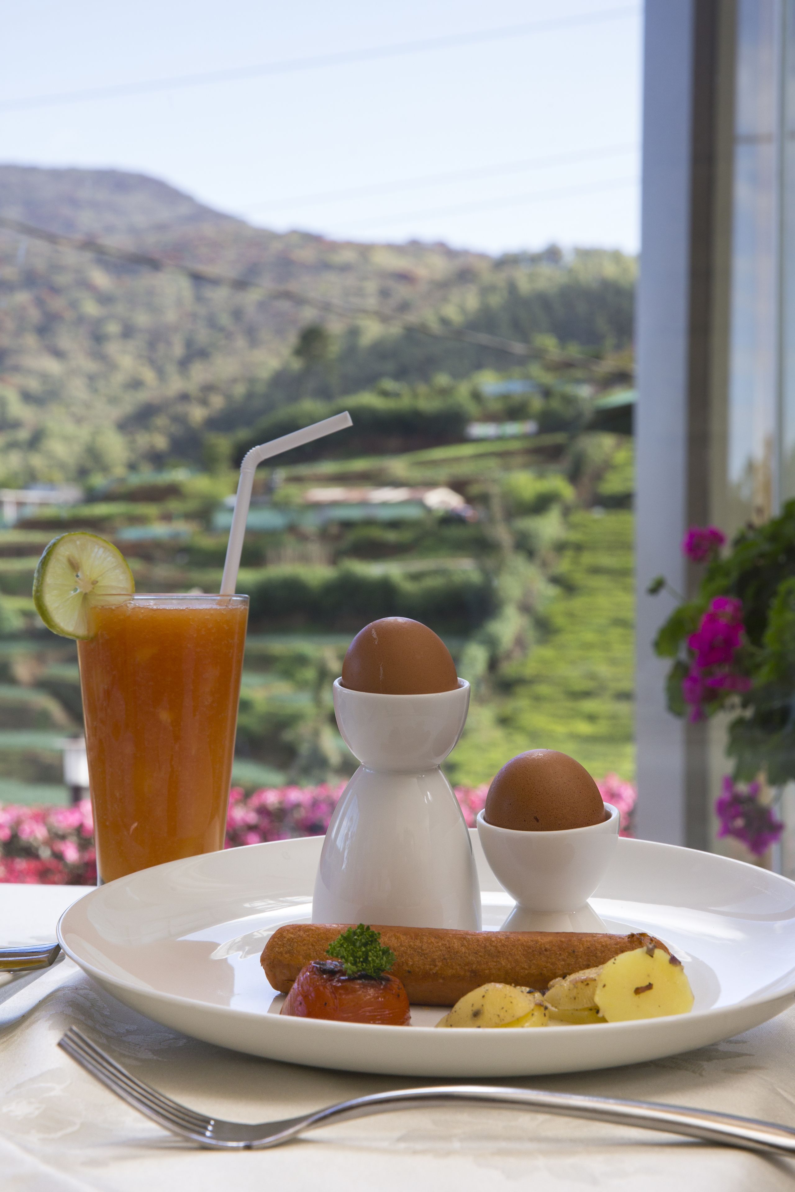 A plate with food and a drink, a window with a view of green hills.