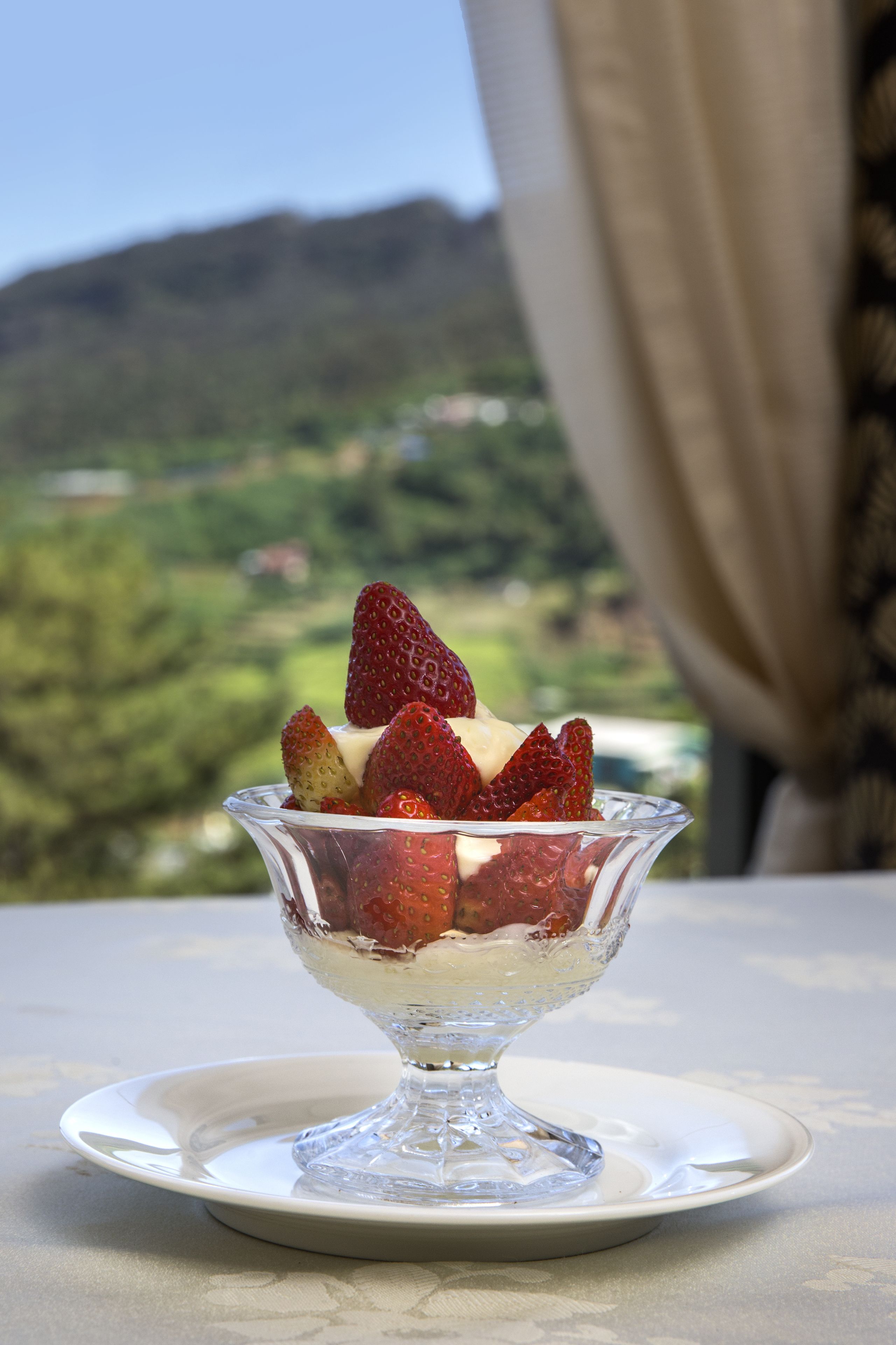 Un postre en un bol de vidrio sobre un plato blanco, con una vista panorámica de follaje y montañas al fondo.