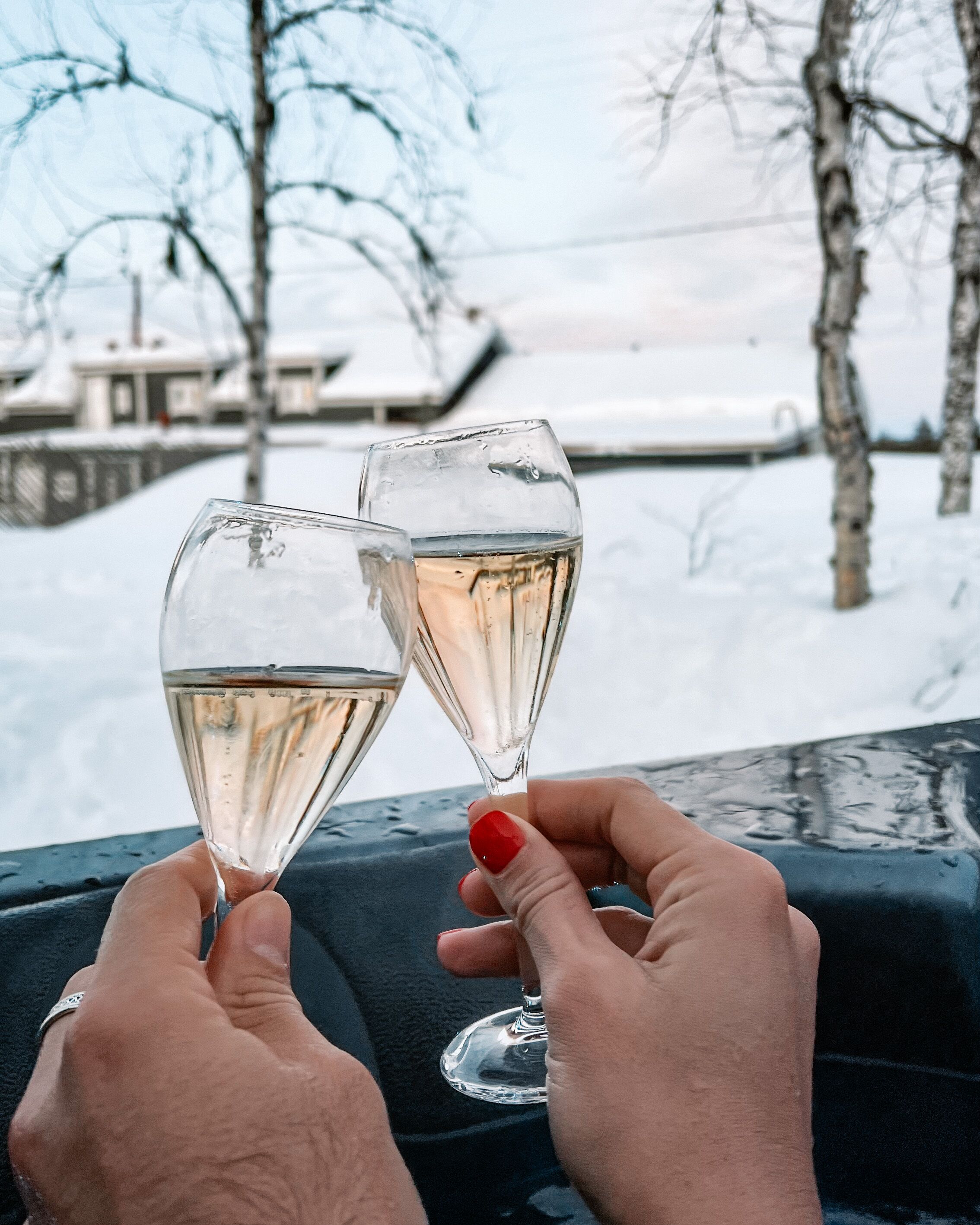 Two hands holding wine glasses with a snowy landscape in the background.