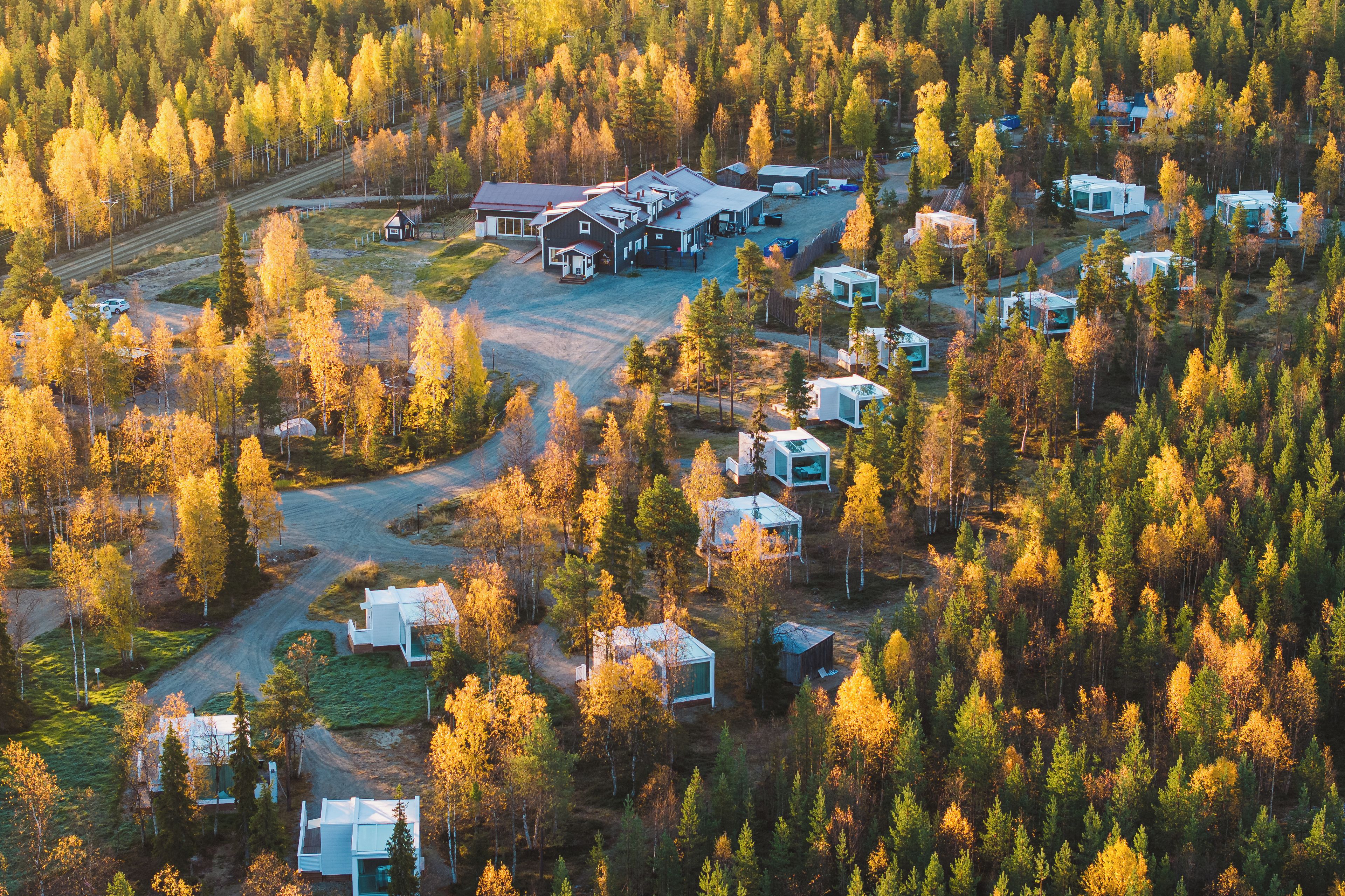 A remote cabin area with multiple modern cabins surrounded by dense forest.