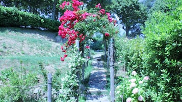 Jardin