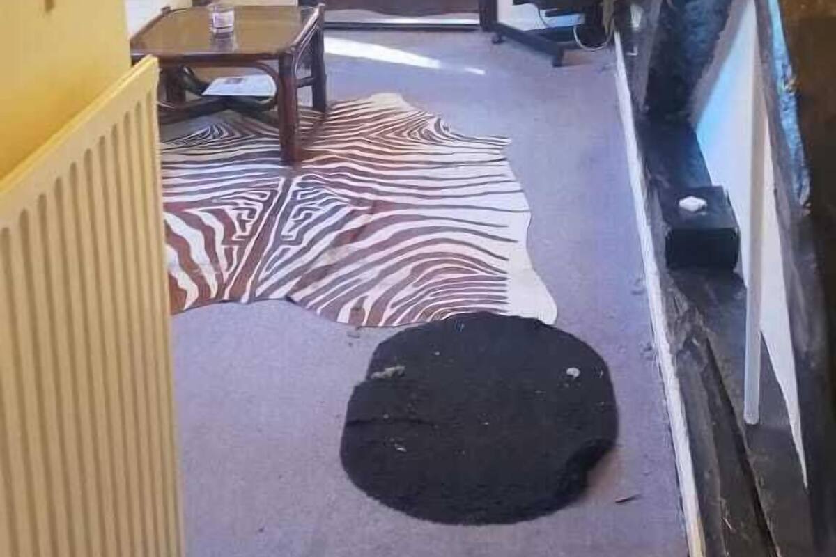 A narrow hallway with a zebra-patterned rug, a radiator, a table with chairs, a chandelier, and a television.
