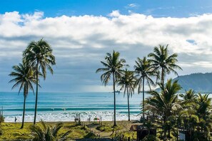 Una playa con palmeras y vista al océano.