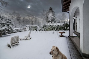 A snowy outdoor area with a dog, a wooden bench, and a stone table. - Ritratto sul Lago (Dormelletto)
