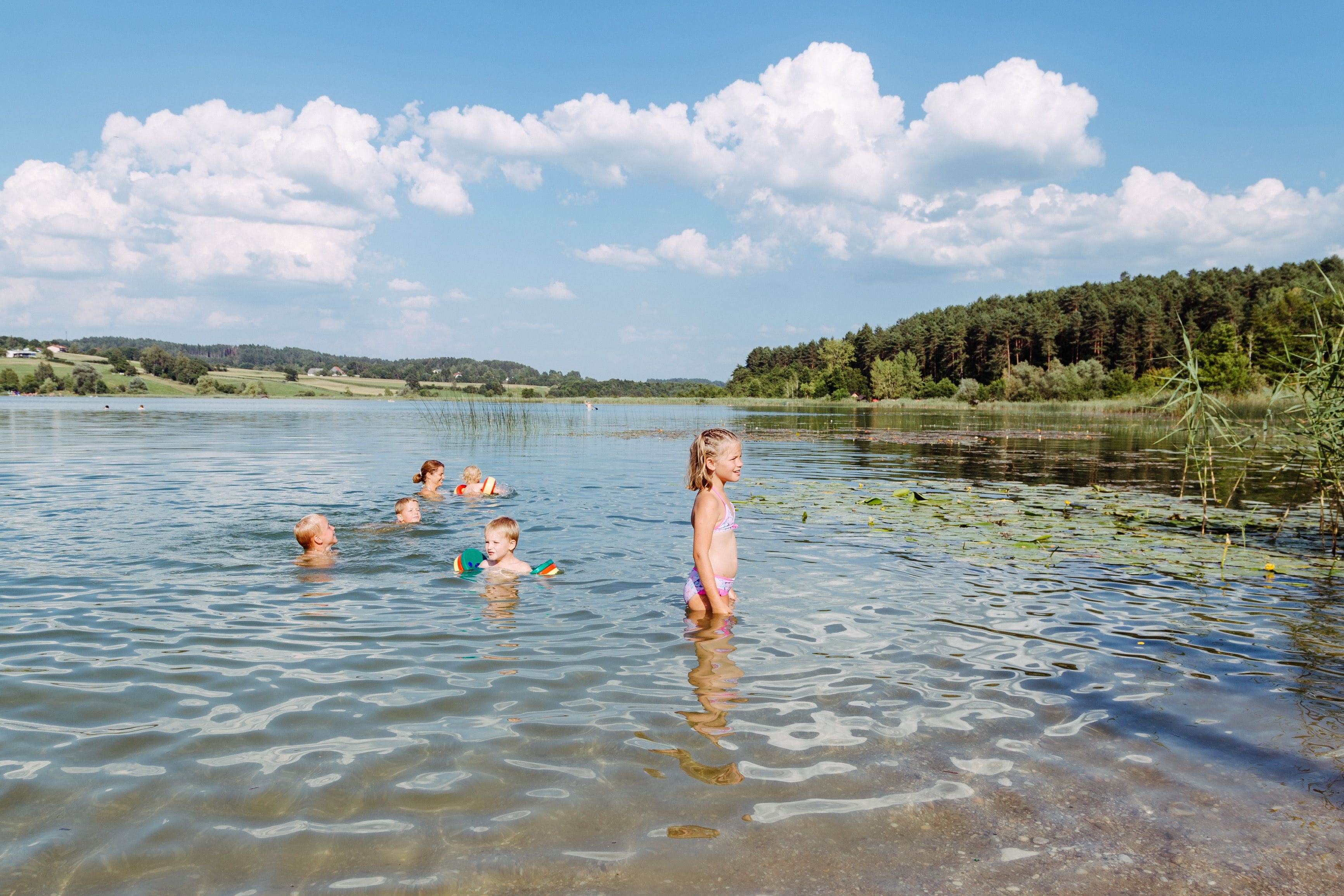 A lake with clear water, surrounded by trees and a forested area.