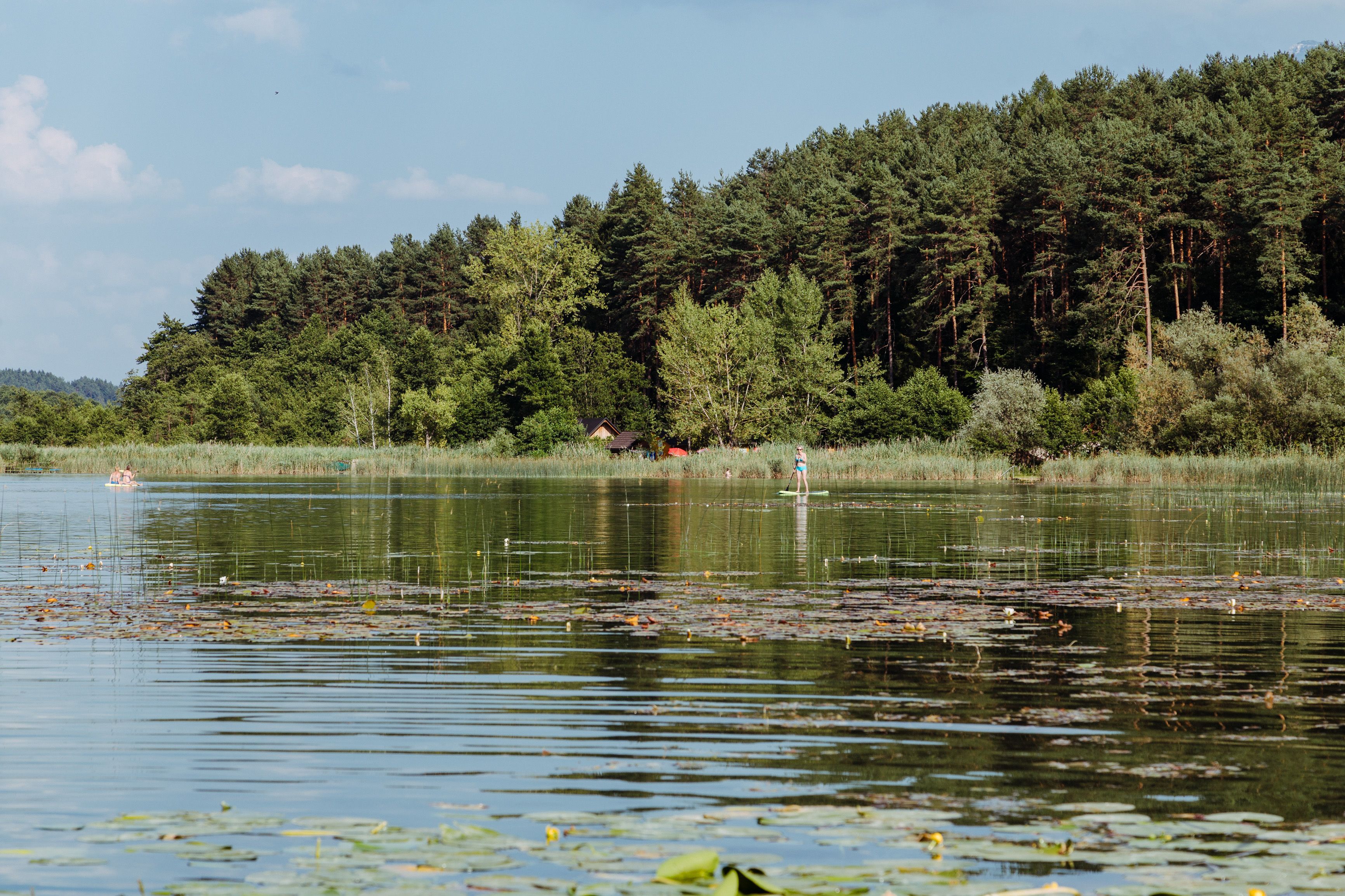A serene lake with a forested hill in the background.
