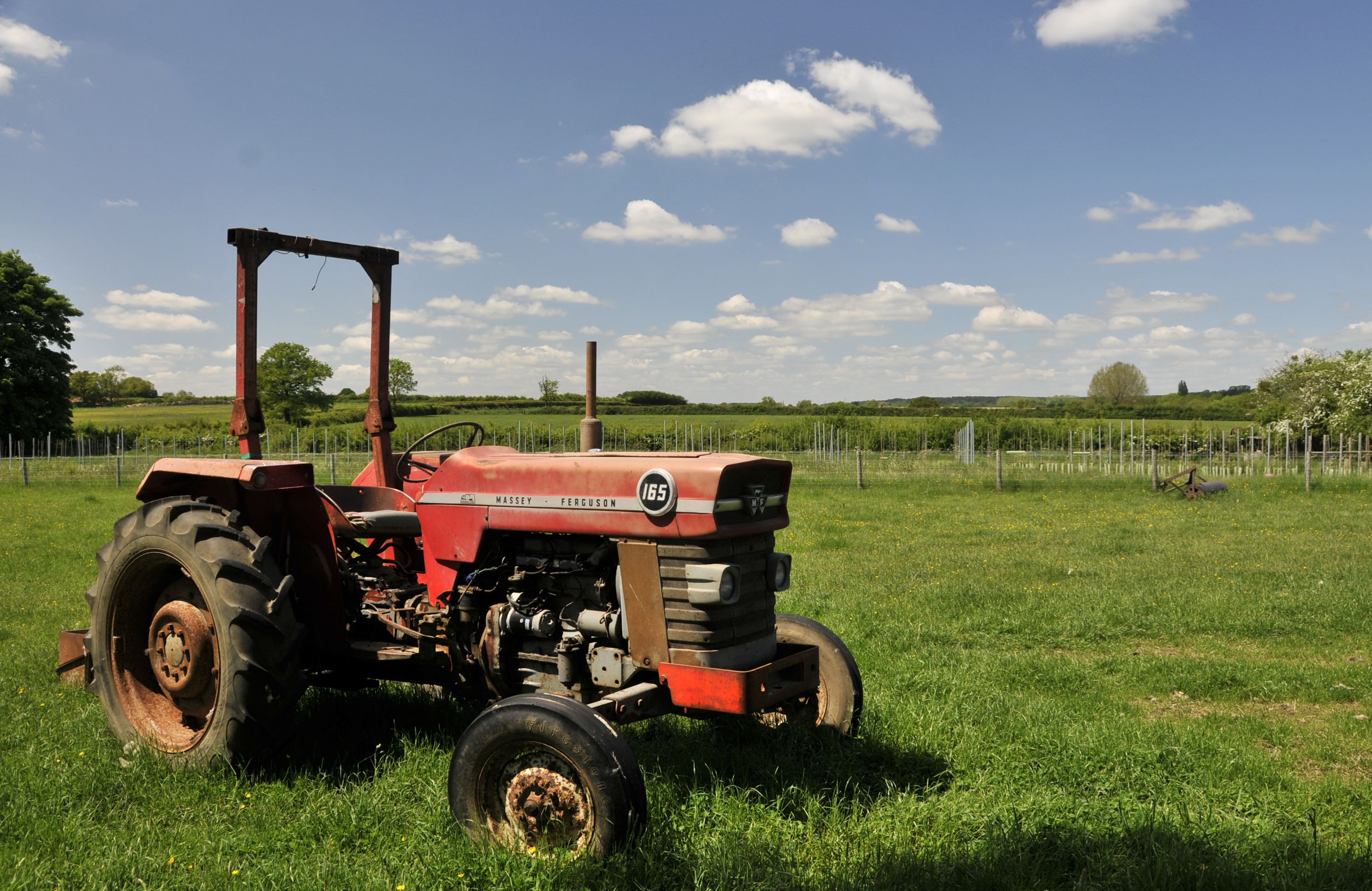 A red Massey Ferguson tractor in a grassy field with a clear sky.