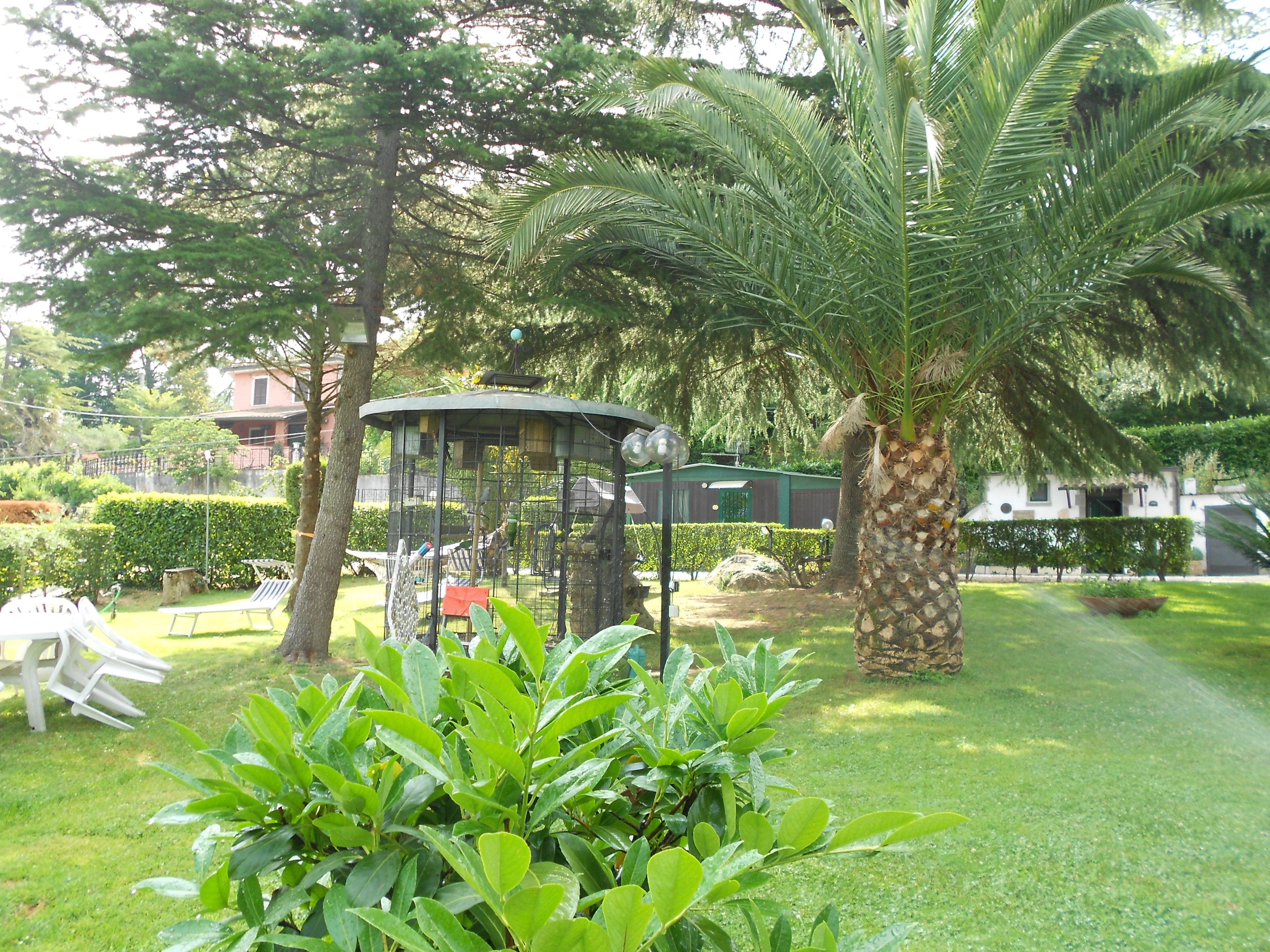Un jardín con una palmera, una jaula de pájaros y un banco.