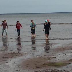 On the beach, sun-loungers, beach towels, kayaking