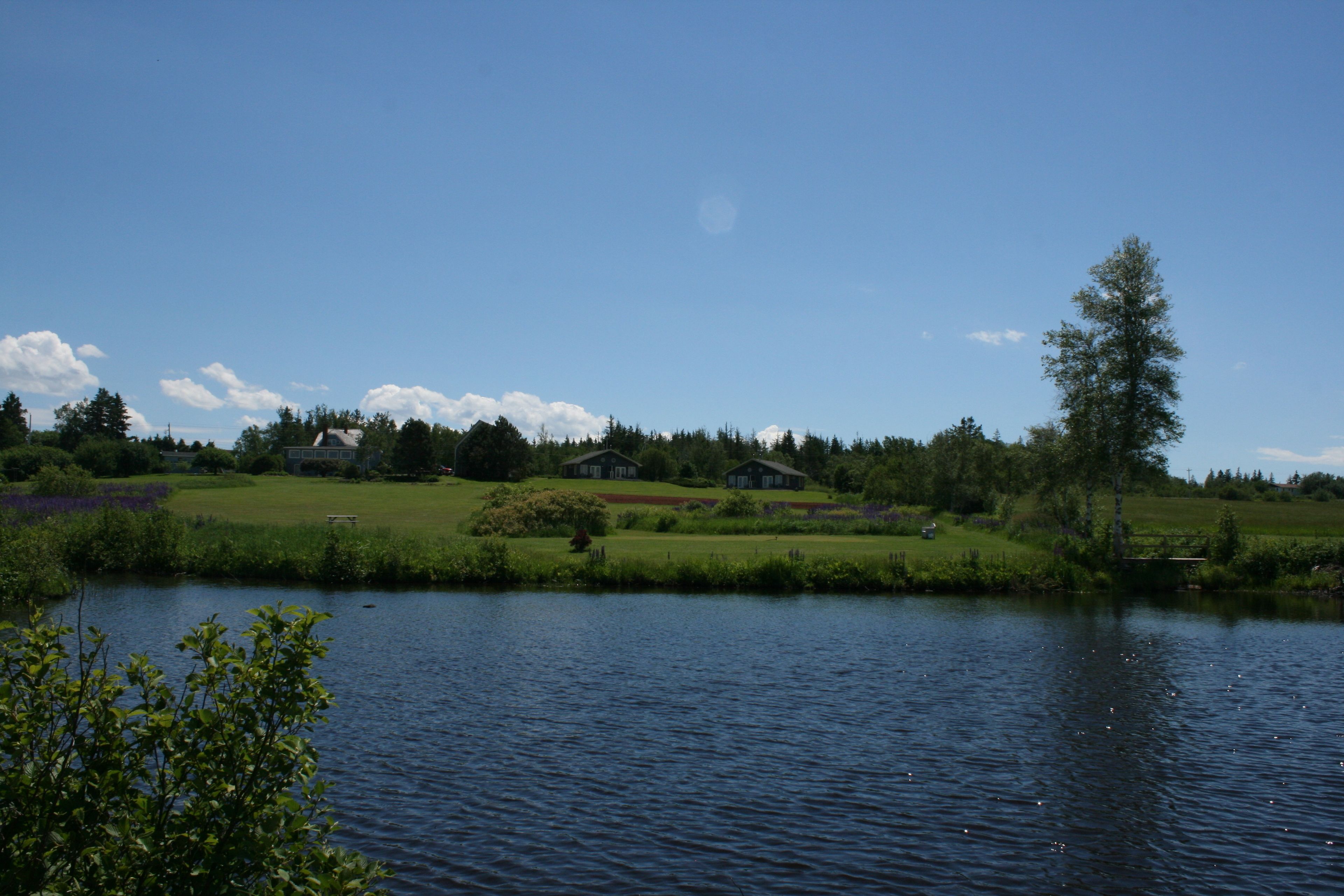 Une vue paisible sur un lac, avec une zone herbeuse, quelques bâtiments et un ciel dégagé.