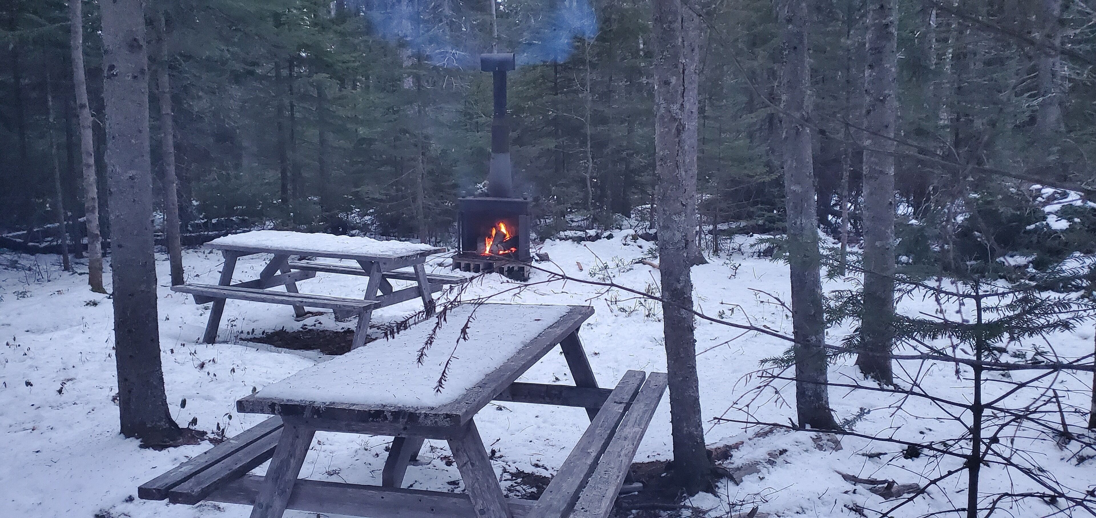 Trugevandring