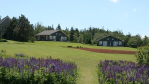 A rural property with two large houses, a well-maintained lawn, and a field of purple flowers. - Amherst Shore Country Inn (Lorneville)