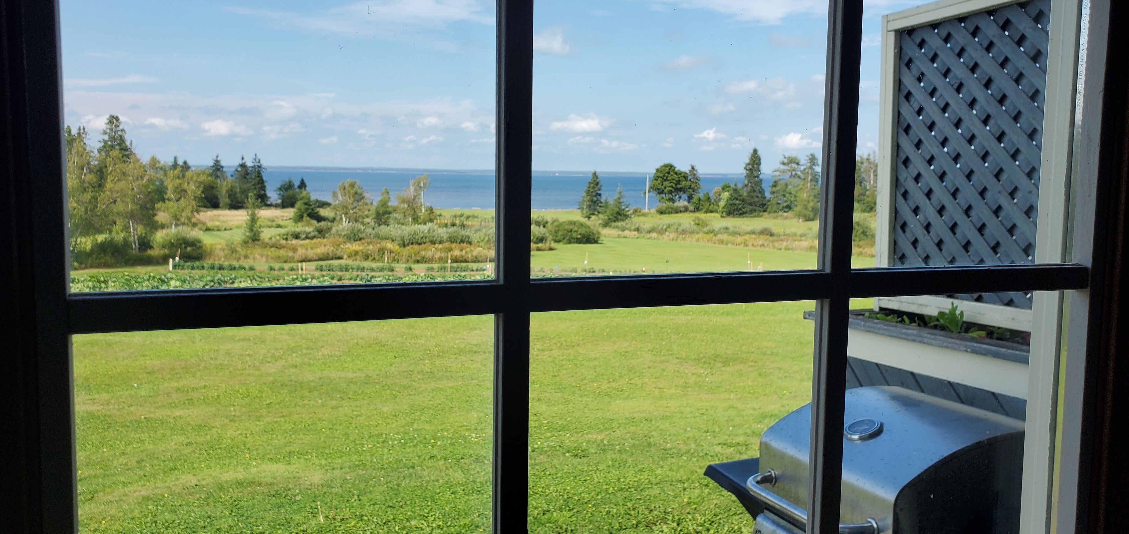 Habitación, cocineta, vista al océano | Vista desde la habitación