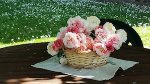 A wicker basket of flowers on a table with a stone wall and a balcony in the background. - Frateria Di San Benedetto (Montepulciano)