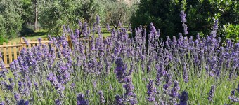 Frateria Di San Benedetto