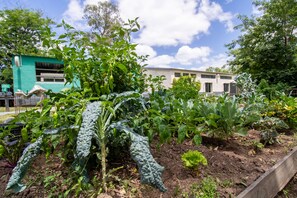 Garden - Mundaka Hostel y Bar - Adults Only (Punta del Este)