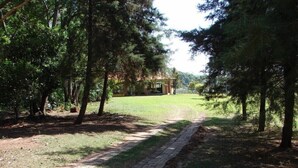 A paved pathway leading to a building surrounded by trees. - Chácara Marson (Mandaguaçu)