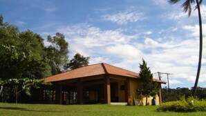 A single-story house with a red-tiled roof, surrounded by greenery and trees. - Chácara Marson (Mandaguaçu)