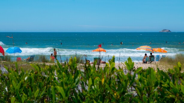 A beach with people swimming and sunbathing under umbrellas. - Praia dos Ingleses Belo Recanto da Ilha (Florianópolis)