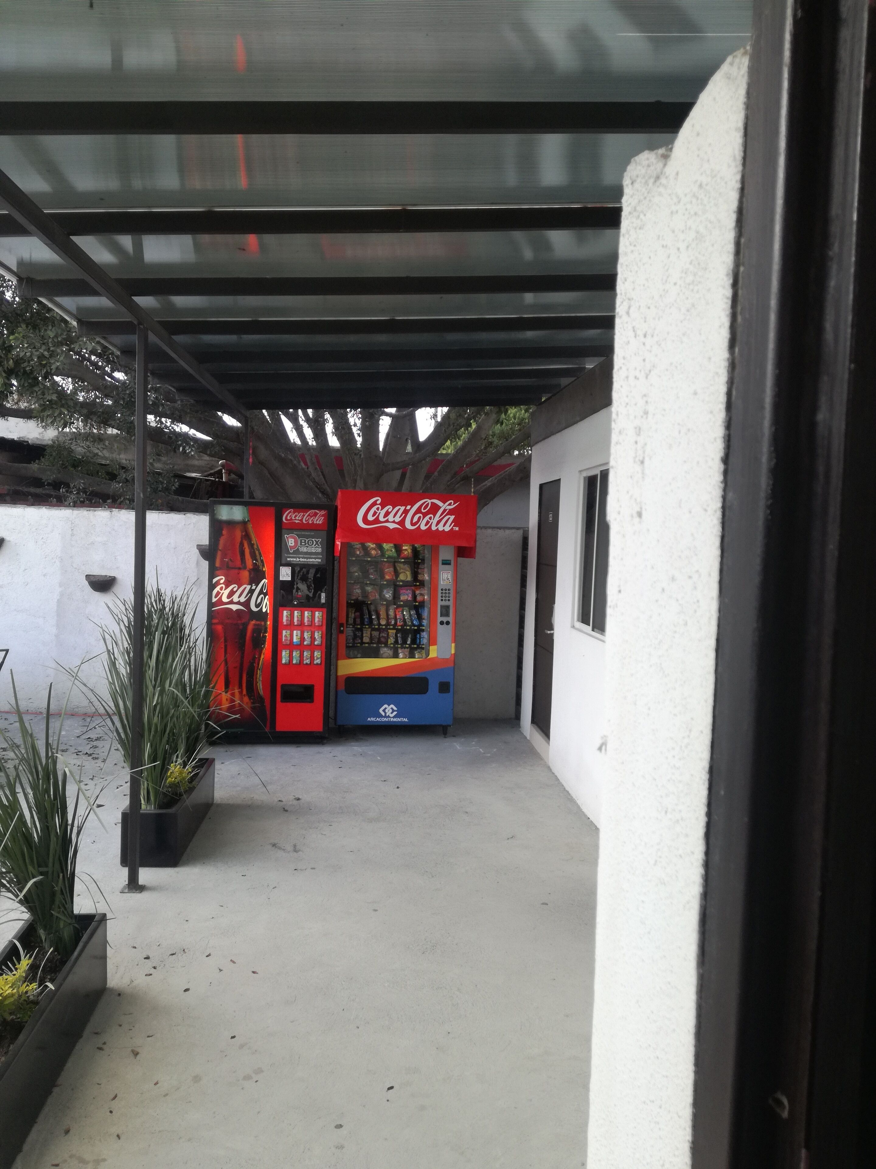 superior room, 1 queen bed | terrace/patio