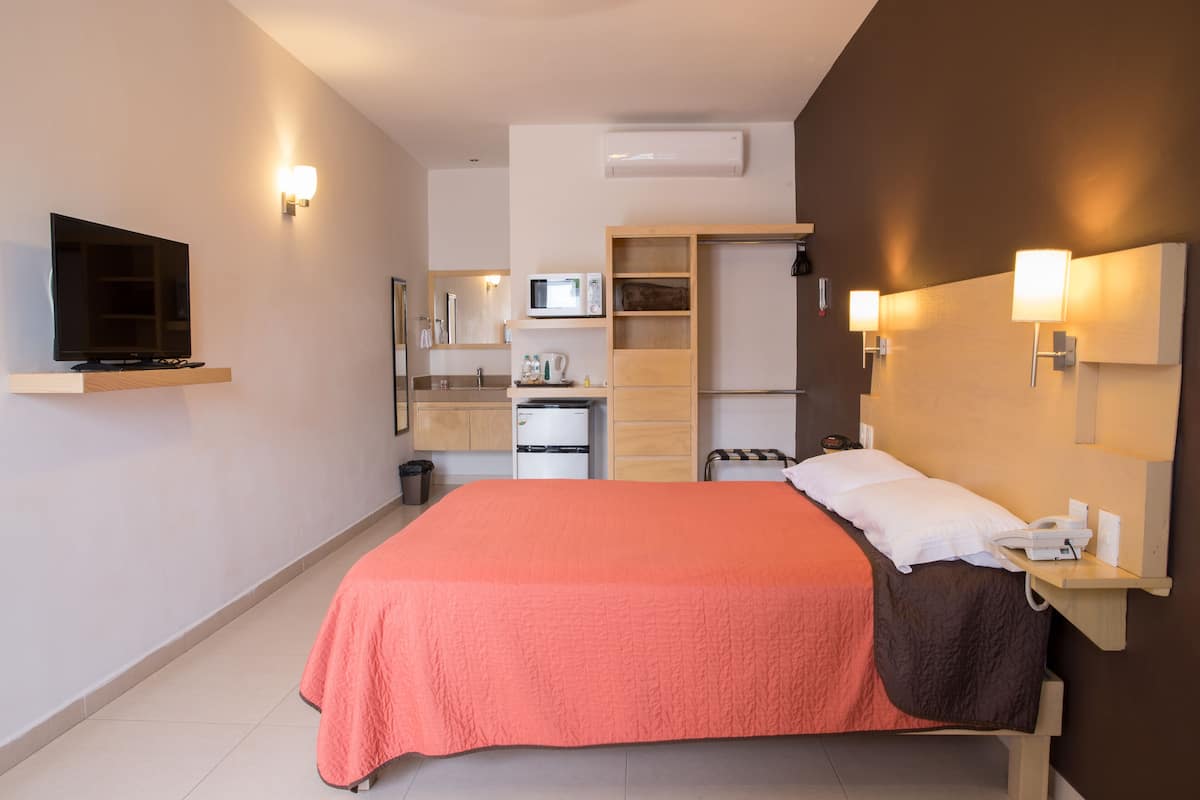A hotel room with a bed, a television, a microwave, a mini-fridge, a sink, and a wardrobe.
