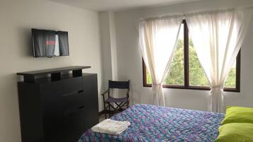 Iron/ironing board, free WiFi, bed sheets, wheelchair access