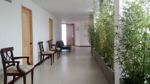 Um corredor com portas de madeira, uma fileira de cadeiras de madeira, um sofá e uma parede verde com plantas.