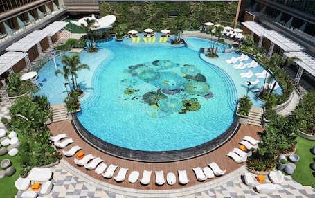 Outdoor pool, sun loungers