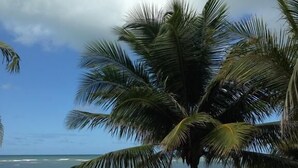 On the beach - Lindo Village em Itacimirim (Camaçari)