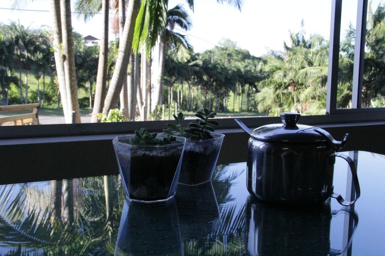 A table with a black teapot and two glass containers with plants, set against a window with a view of palm trees and a bench.