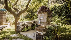 A stone water feature with a fountain, surrounded by lush greenery and a stone pathway. - Villa Gallone (Sorrento)