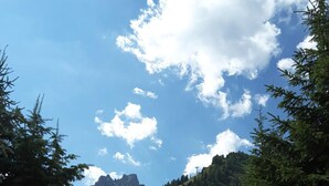 A wooden gate with potted flowers, leading to a parking area with a mountain in the background. - Chalet Brigitte (Livinallongo del Col di Lana)