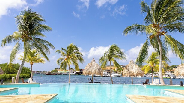 A clear blue pool with palm trees and a view of the sea. - Spanish Water Apartments (Jan Thiel)