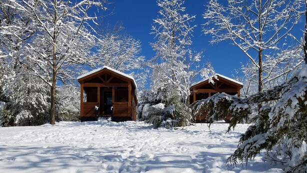 Unclassified image, 1 of 23, button - Paradise Cozy Cabins (Mill Spring)