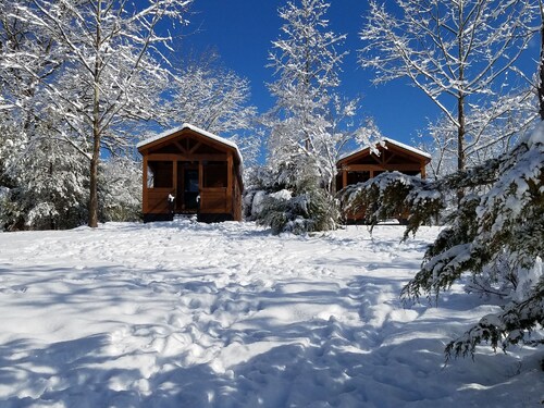 Paradise Cozy Cabins