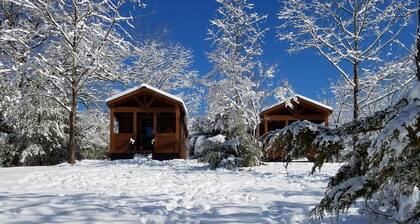 Paradise Cozy Cabins