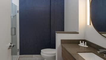 A modern bathroom with a glass shower enclosure, a white toilet, and a vanity with a mirror.