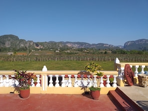 Terraza o patio