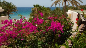 A coastal view with vibrant pink bougainvillea flowers, palm trees, and a clear blue sea. - Grupotel Tres Vidas (San Bartolomé de Tirajana)