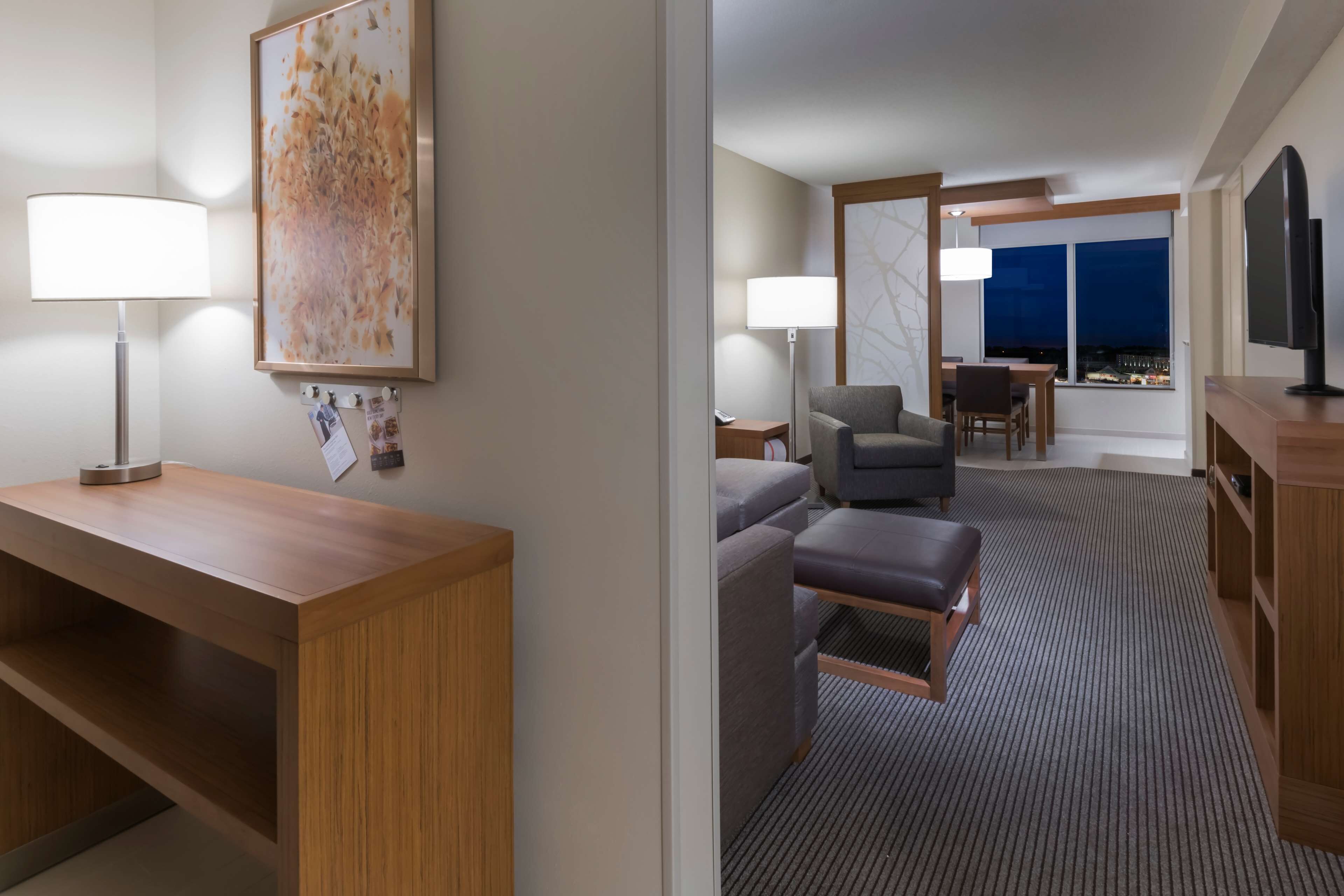 Suite, 1 King Bed with Sofa bed, Kitchen