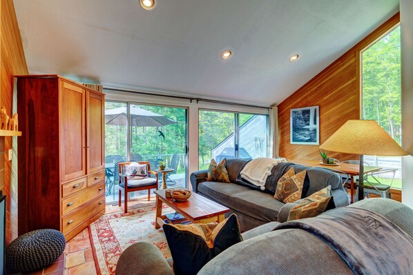 Smart TV, fireplace, DVD player, books