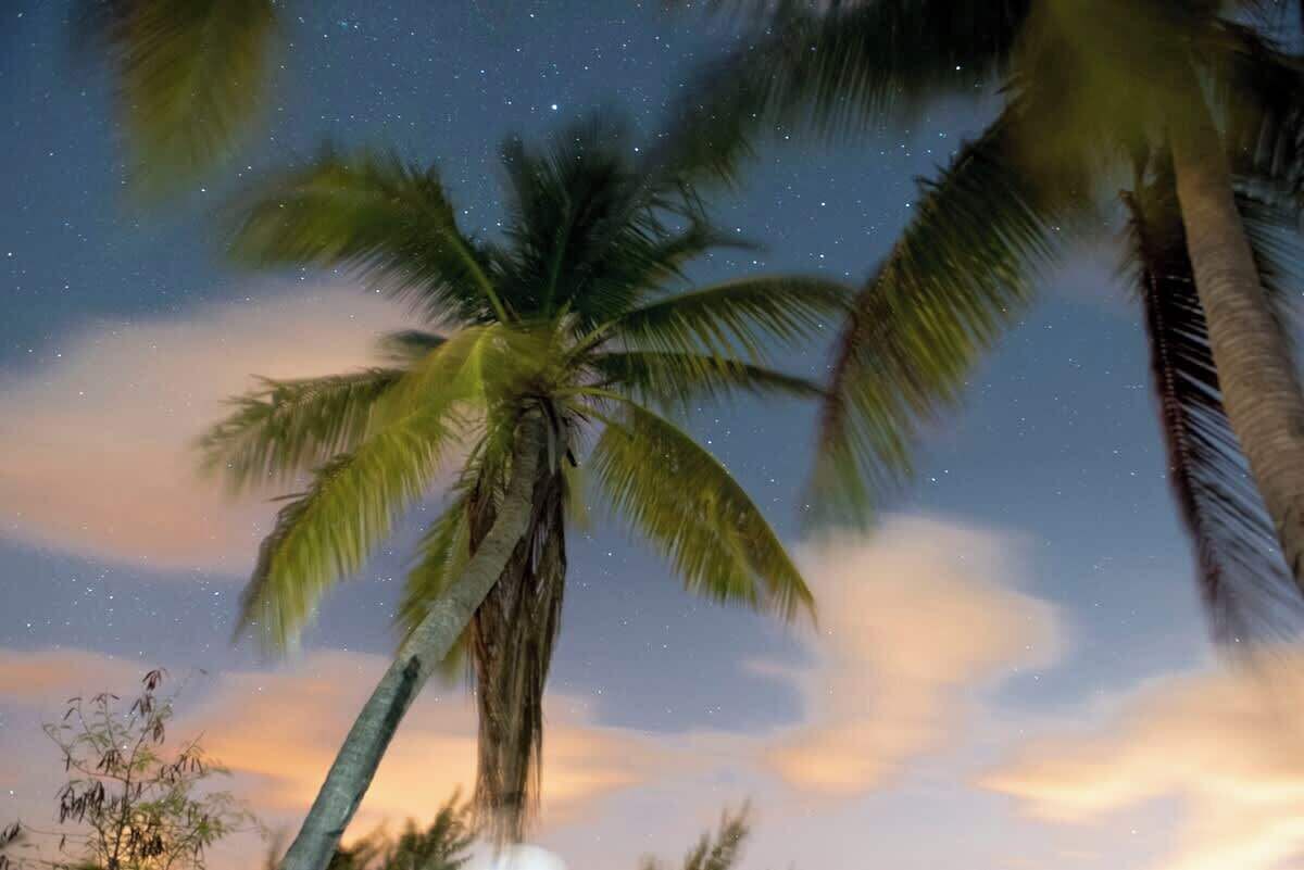 Callie Kai - Beach