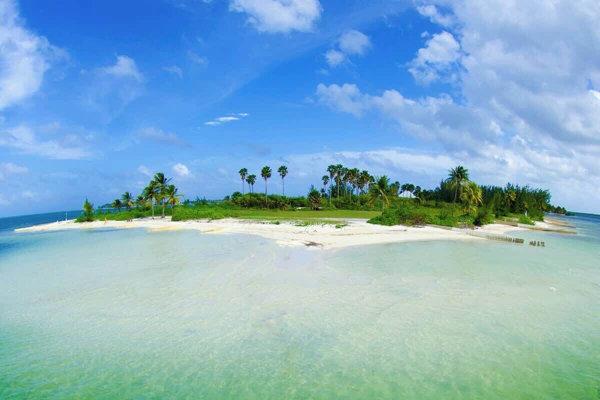 A tropical beach with clear turquoise water, white sand, and palm trees.